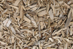 biomass boilers Beckces